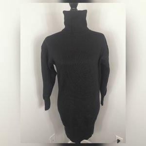 Wilfred Aritzia turtleneck sweater dress